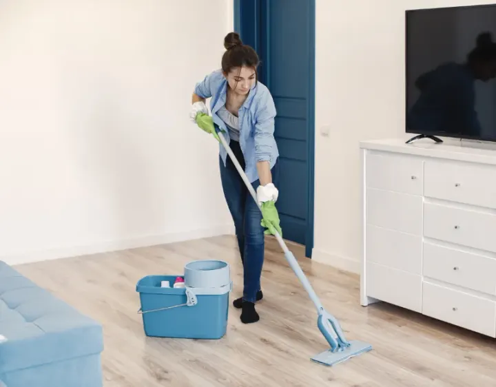 Femme de ménage Mondrainville